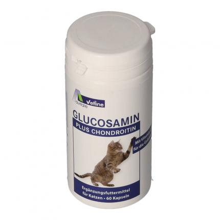 GLUCOSAMIN+CHONDROITIN Kapseln für Katzen