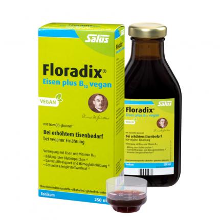 Floradix Eisen Plus B12 Vegan Tonikum