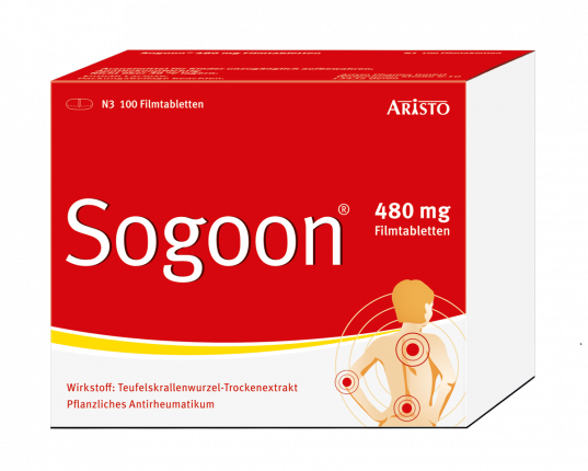 Sogoon 480 mg