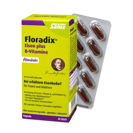 Floradix Eisen plus B-Vitamine