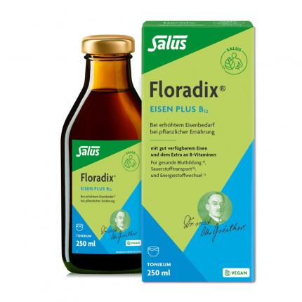 Floradix Eisen Plus B12 Tonikum