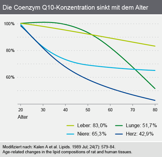 Die Coenzym Q10-Konzentration sinkt im Alter
