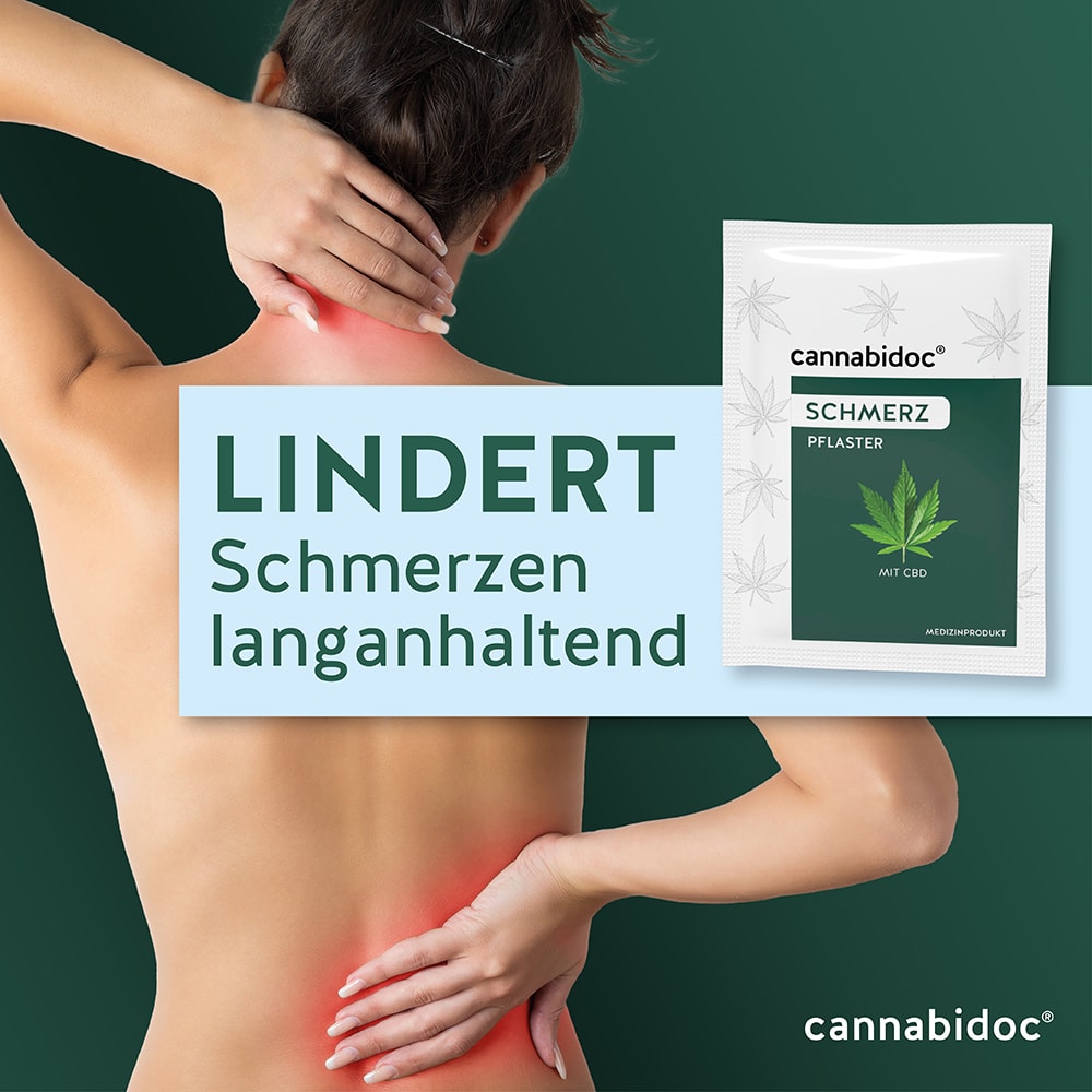 cannabidoc SCHMERZPFLASTER 8 St Pflaster transdermal