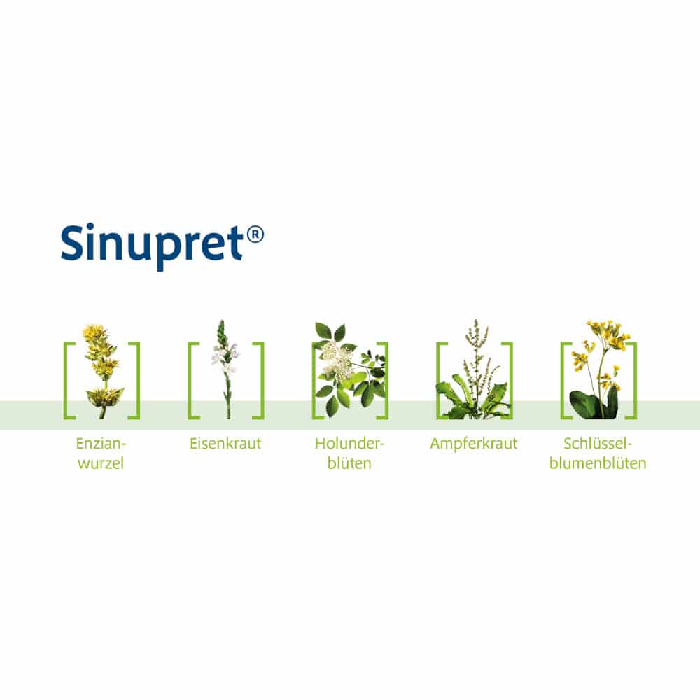 Sinupret forte  100 St Überzogene Tabletten