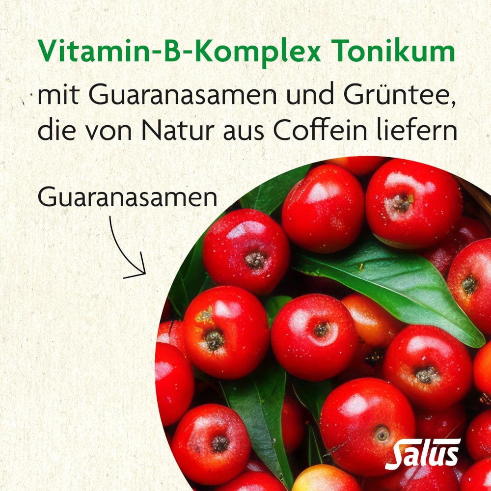 Salus Vitamin-B-Komplex Tonikum  250 ml Tonikum