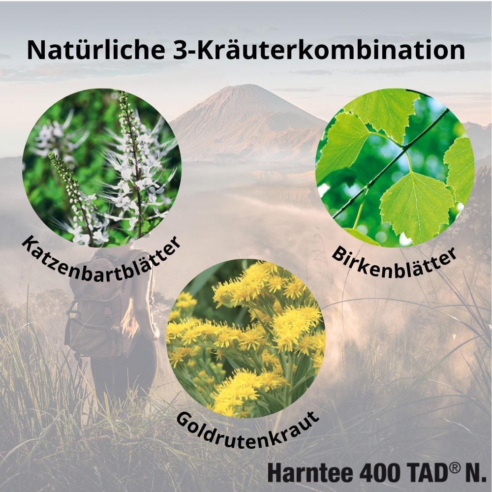 Harntee 400 TAD N Blasen- und Nierentee 150 ml Granulat