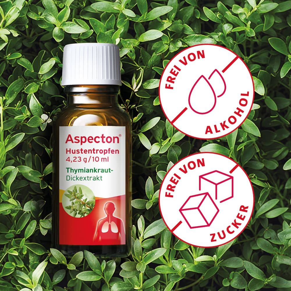 Aspecton Hustentropfen 100 ml Flüssigkeit zum Einnehmen