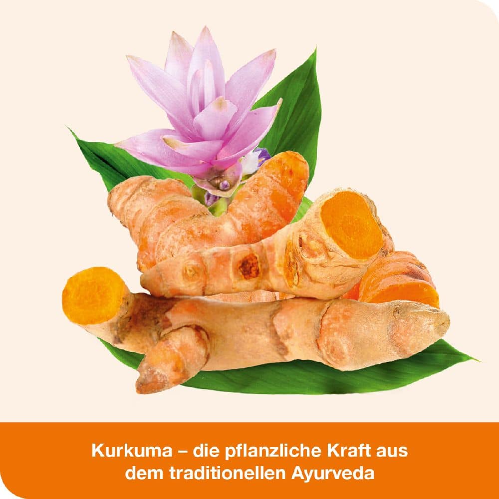 curcumin-Loges  60 St Kapseln