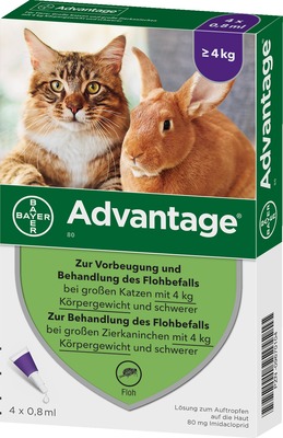 Advantage 80mg Für große Katzen und große Zierkaninchen 4X0.8 ml Lösung