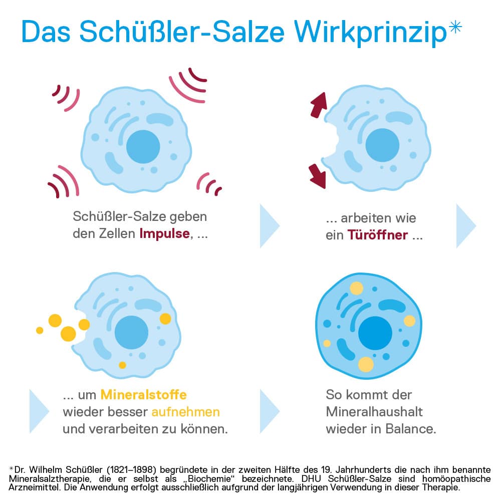DHU Schüßler-Salz Nr. 6 Kalium sulfuricum D12   200 St Tabletten