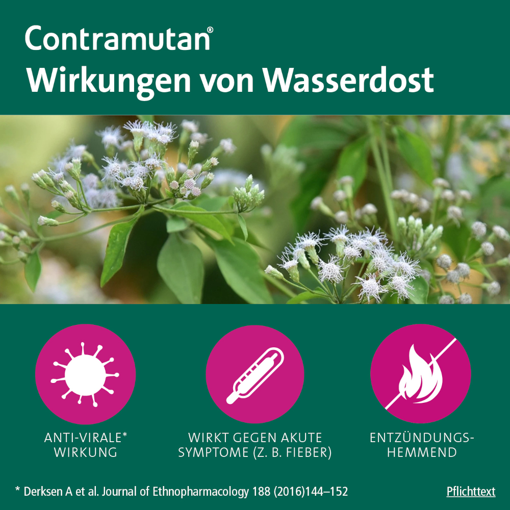 CONTRAMUTAN  40 St Tabletten