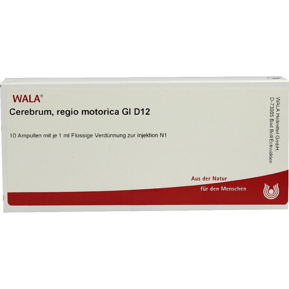 Cerebrum, regio motorica Gl D12 Ampullen 10X1 ml Ampullen