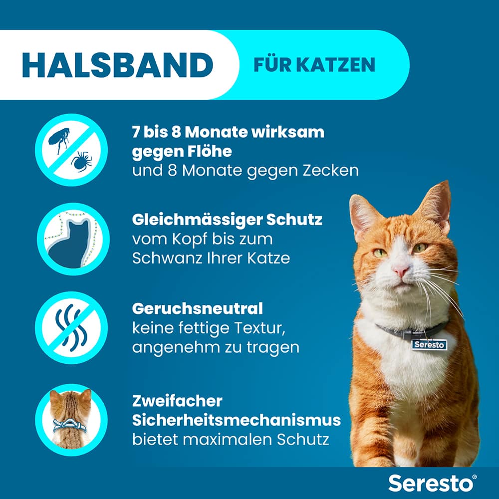 Seresto Halsband für Katzen 1 St Halsband
