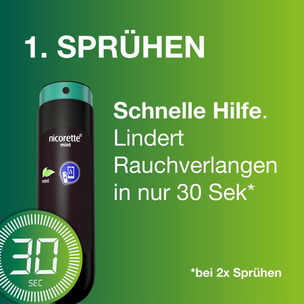 nicorette fruit & mint Spray 6er Set 3X2 St Spray