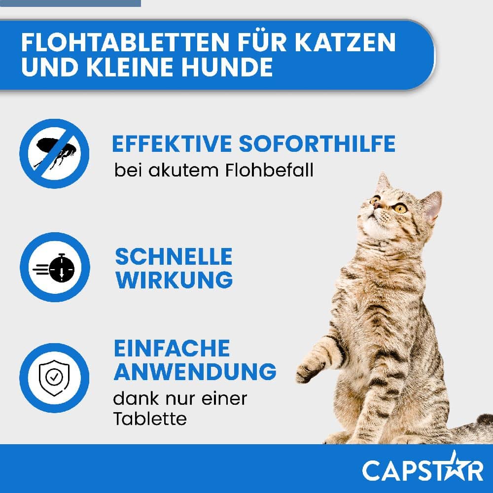 CAPSTAR 11,4 mg für Katzen und kleine Hunde 6 St Tabletten
