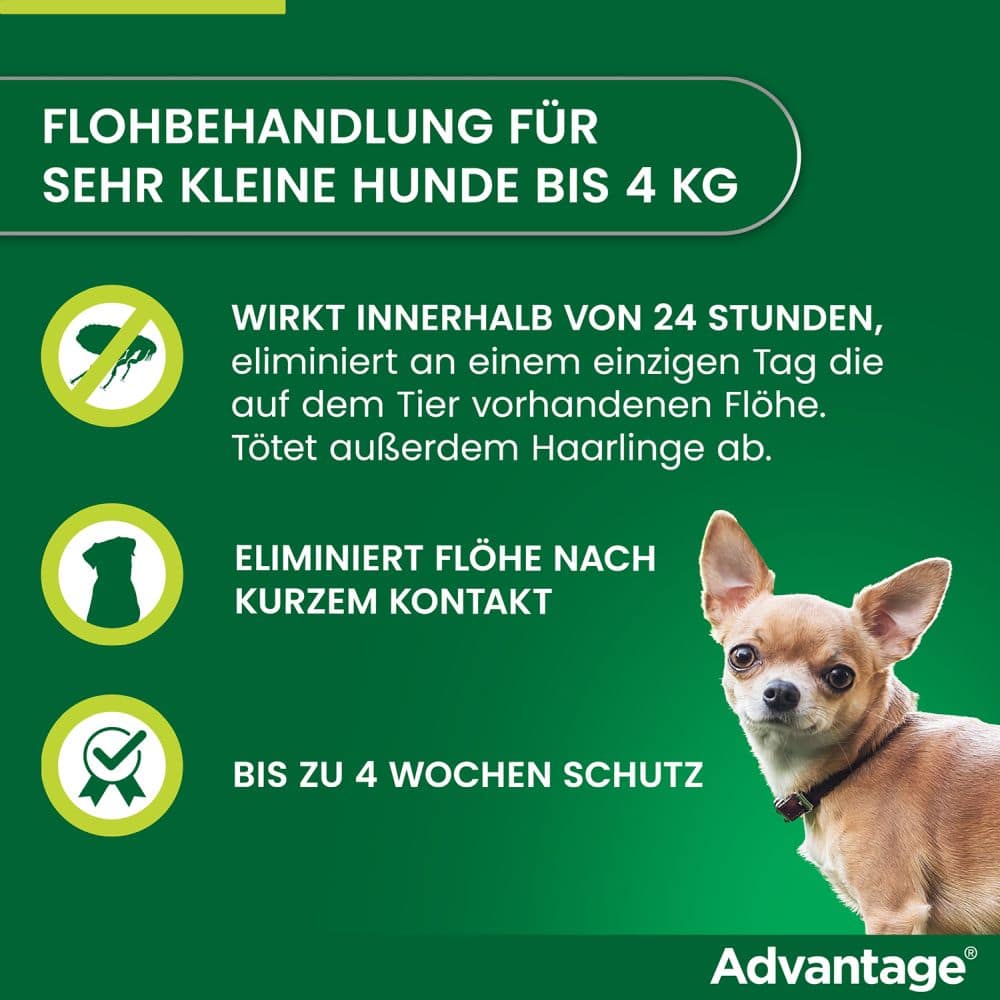 Advantage 40 Lösung für Hunde bis 4 kg 4 St Lösung