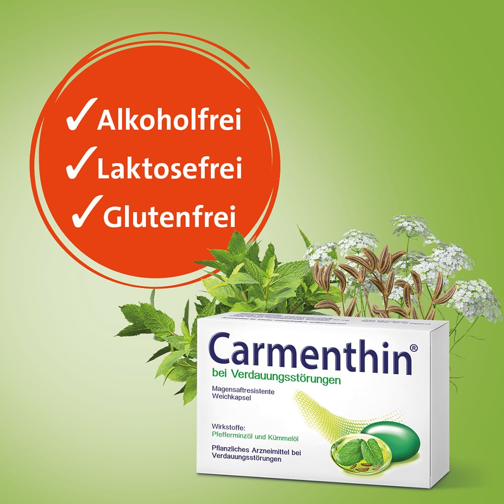 Carmenthin bei Verdauungsstörungen 84 St Magensaftresistente Weichkapseln