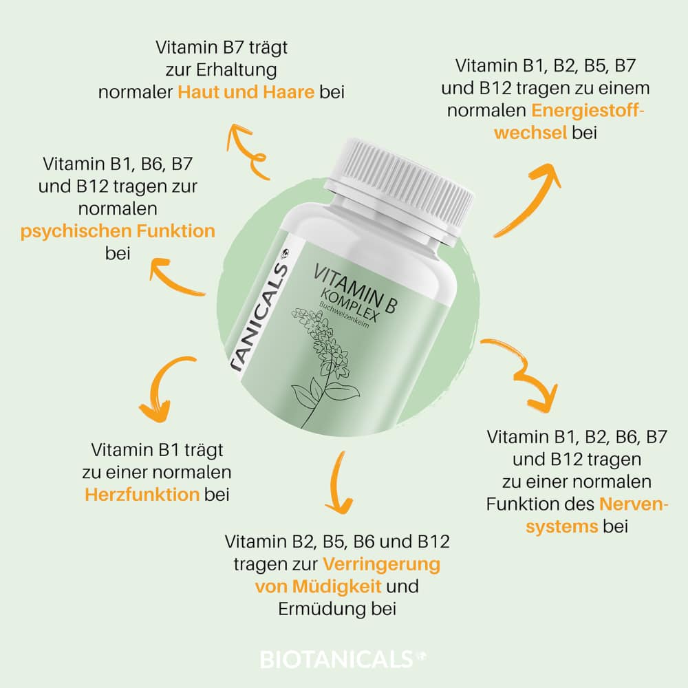 BIOTANICALS VITAMIN B KOMPLEX 90 St Kapseln