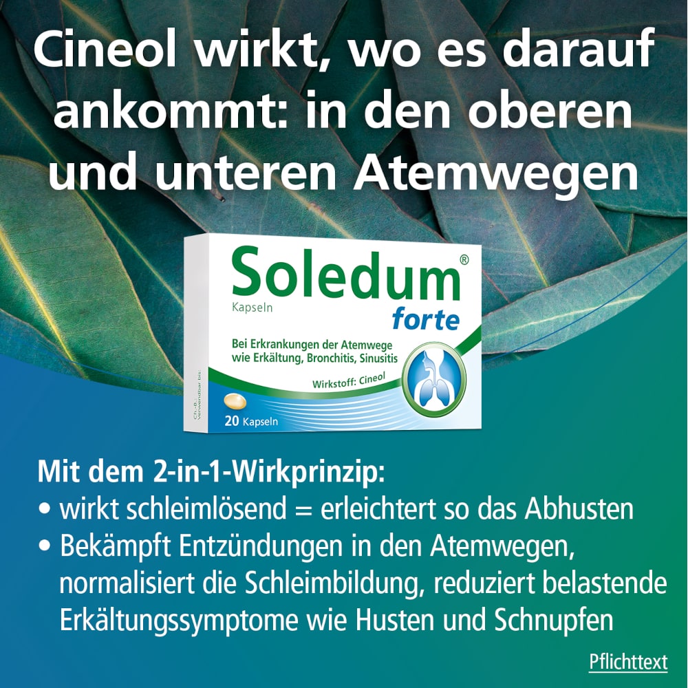 Soledum forte 50 St Kapseln magensaftresistent