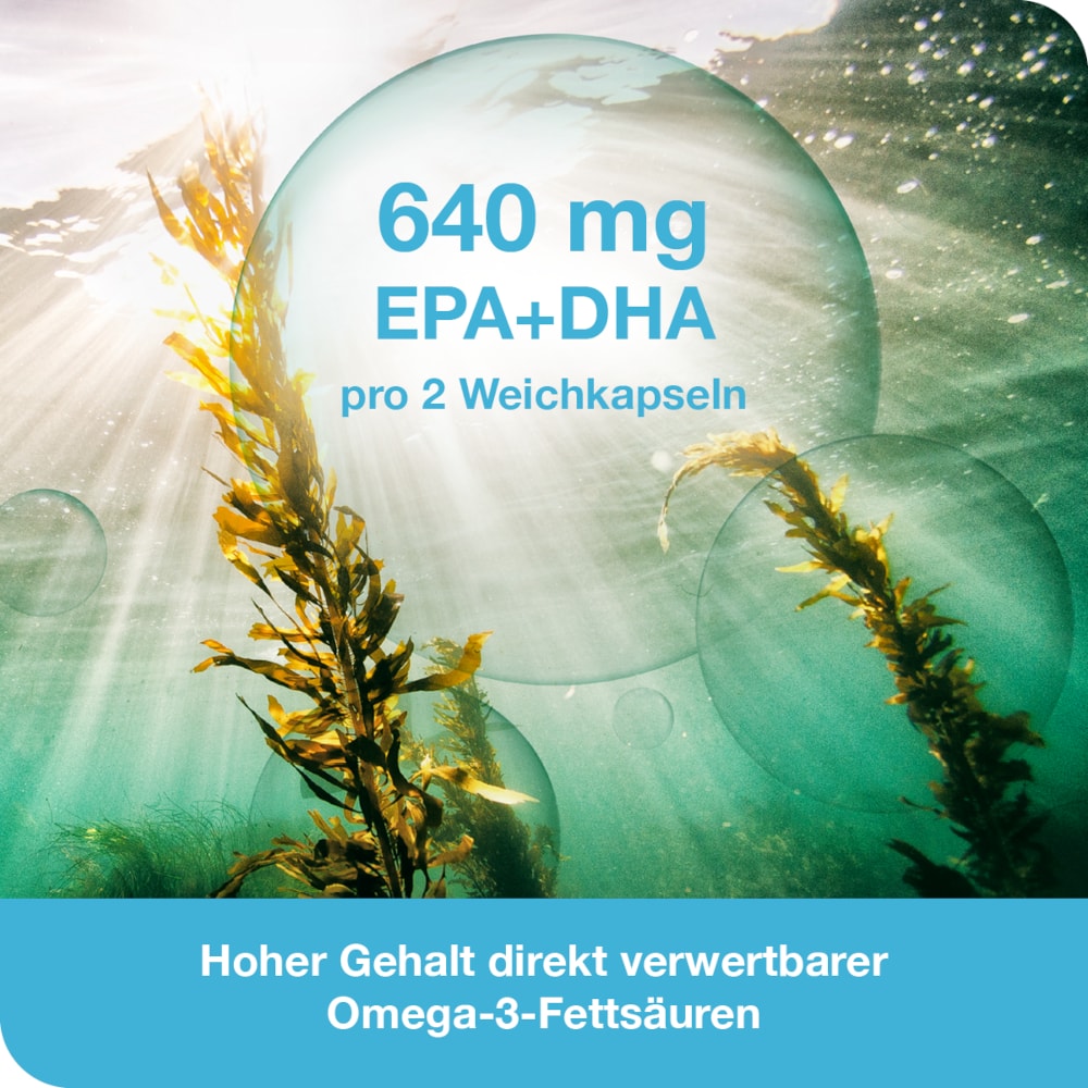 omega3-Loges pflanzlich 120 St Kapseln