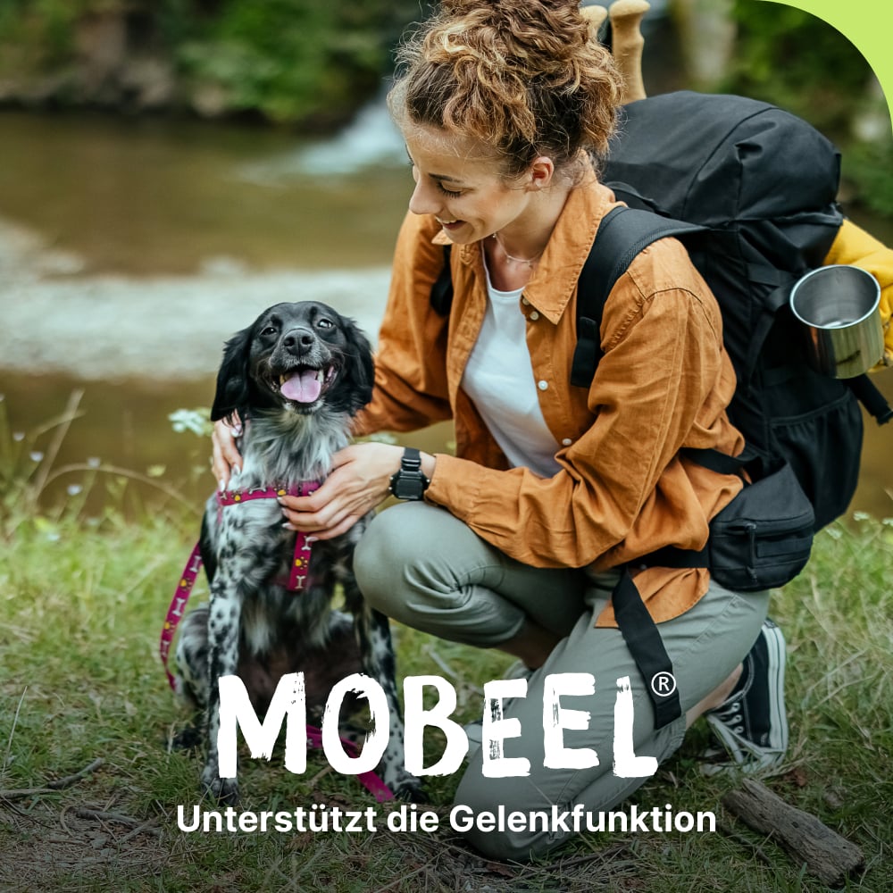 MOBEEL vet. 150 g Pulver