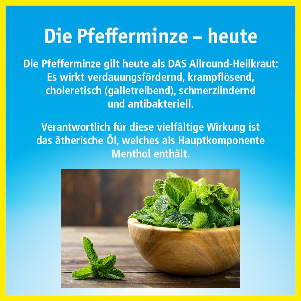 China-Öl 100 ml Ätherisches Öl