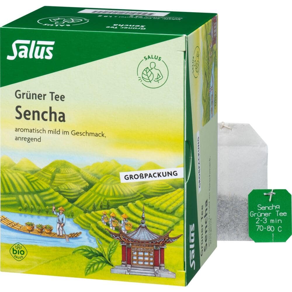Salus Grüner Tee Sencha 40 St Filterbeutel