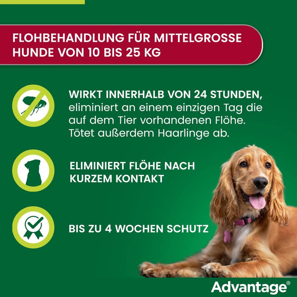 Advantage 250 Lösung für Hunde 10-25 kg 4 St Lösung