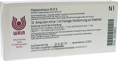 HIPPOCAMPUS GL D 5 Ampullen 10X1 ml Ampullen