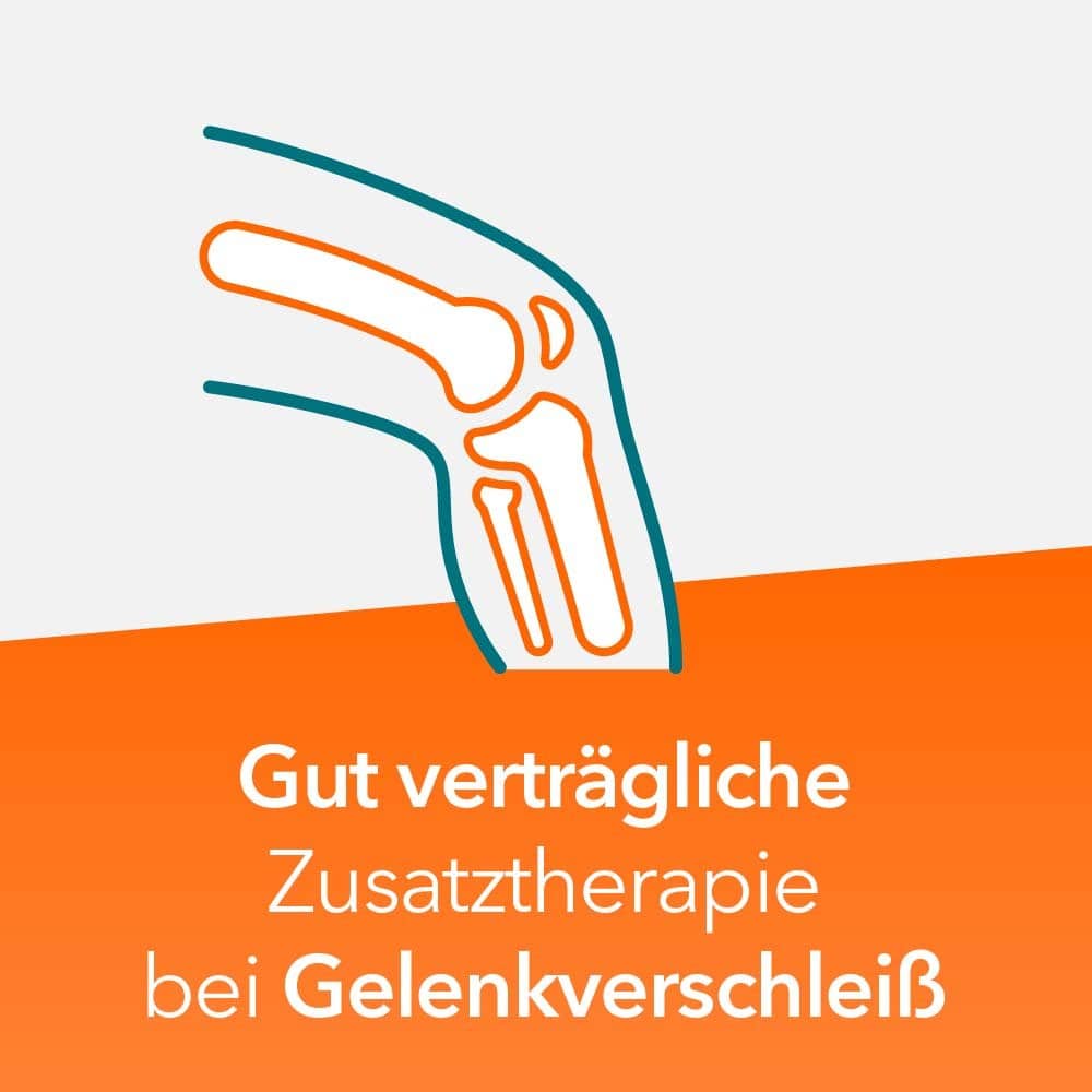 Teufelskralle-ratiopharm bei Gelenkschmerz 200 St Filmtabletten