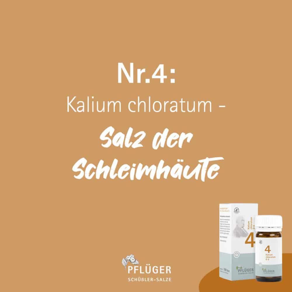 Schüßler-Salz Nr. 4 Kalium chloratum D6 4000 St Tabletten