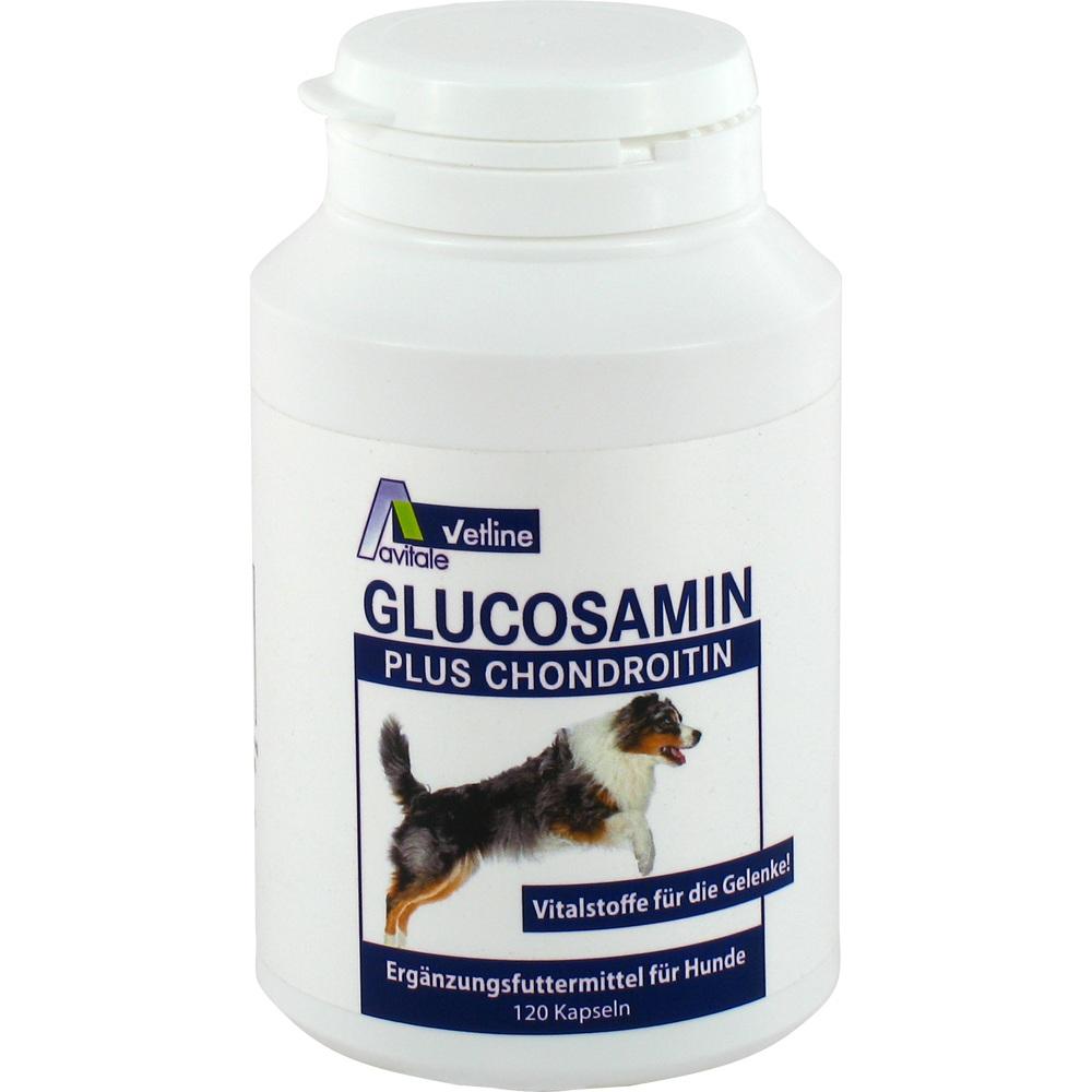 Avitale GLUCOSAMIN PLUS CHONDROITIN vet. 120 St Kapseln