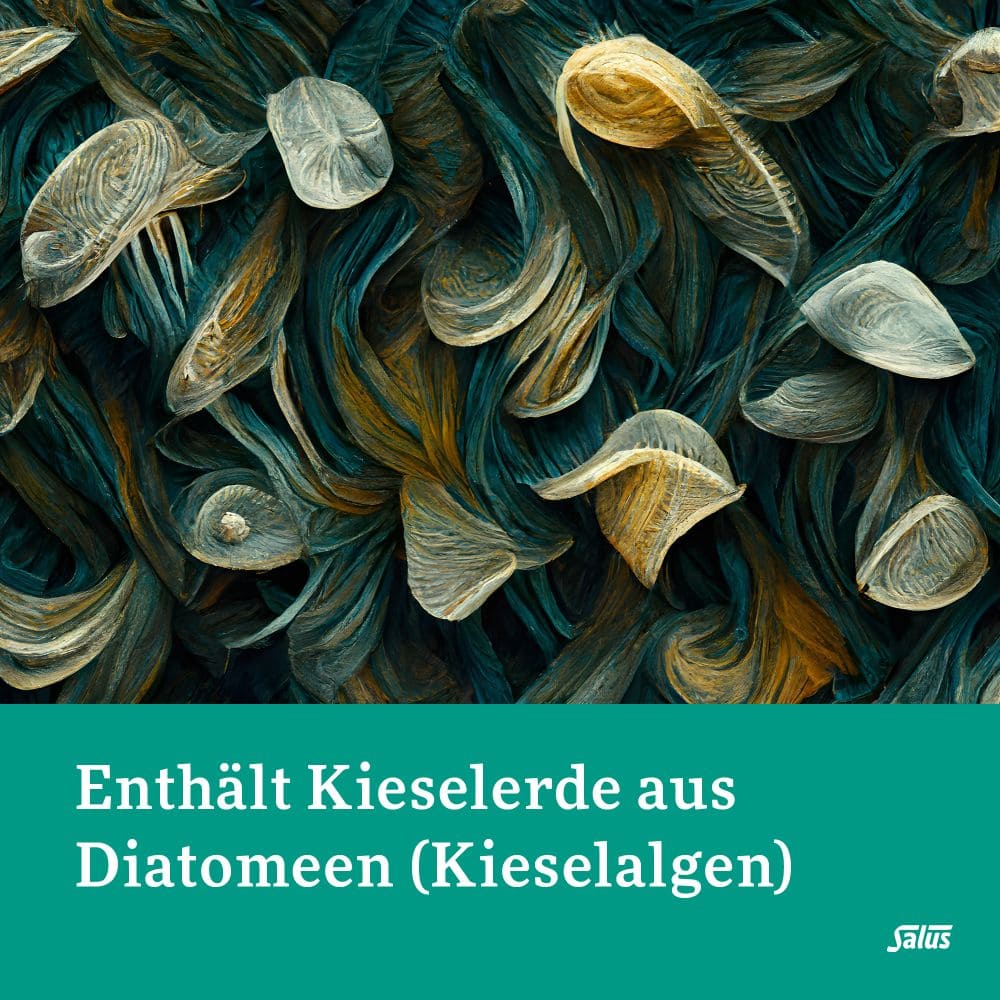 Salus Kieselerde PUR 200 g Pulver