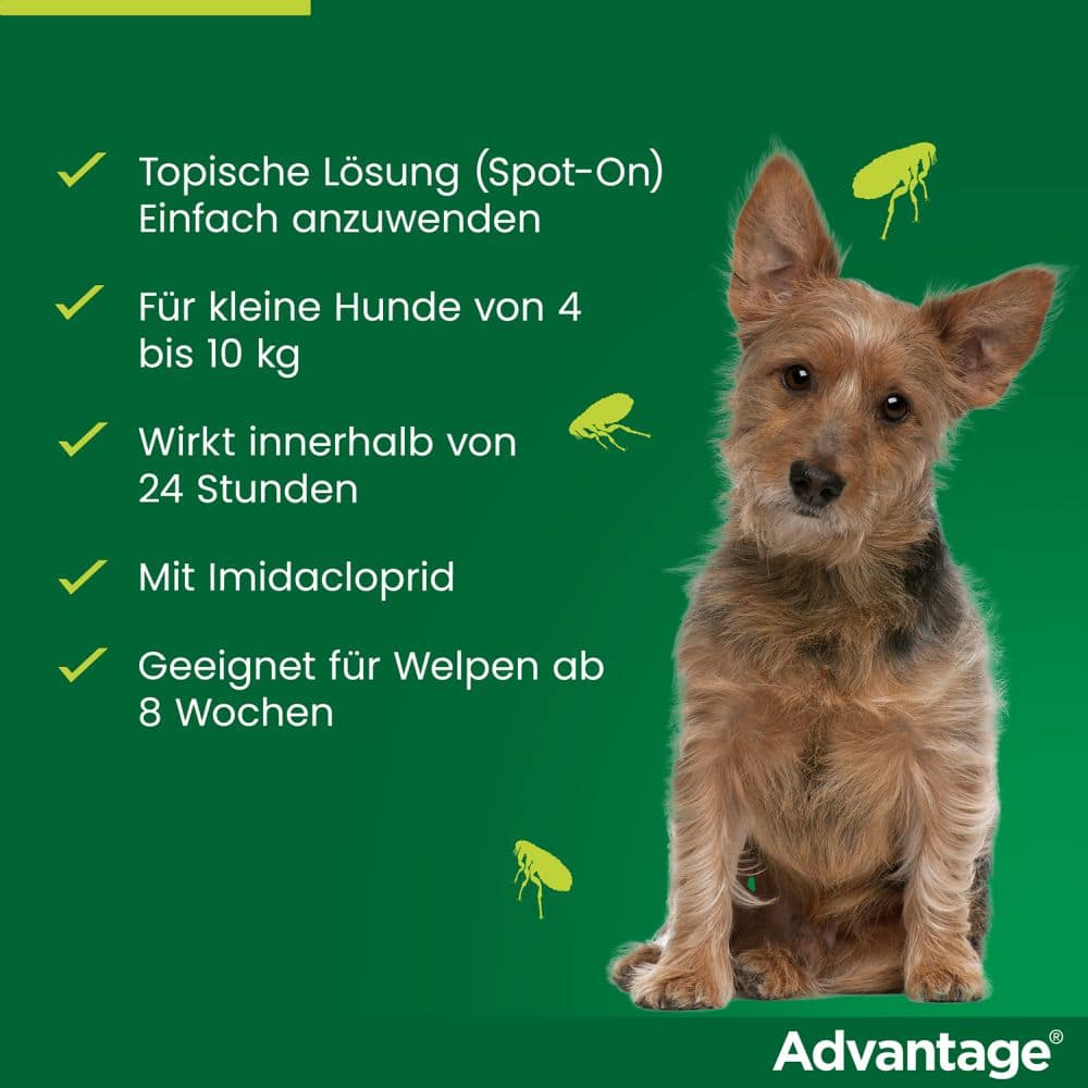 Advantage 100 Lösung zum Auftropfen für Hunde 4-10 kg 4 St Lösung