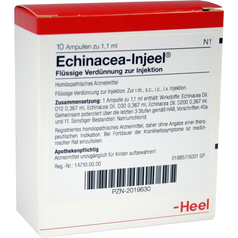 ECHINACEA INJEEL Ampullen 10 St Ampullen