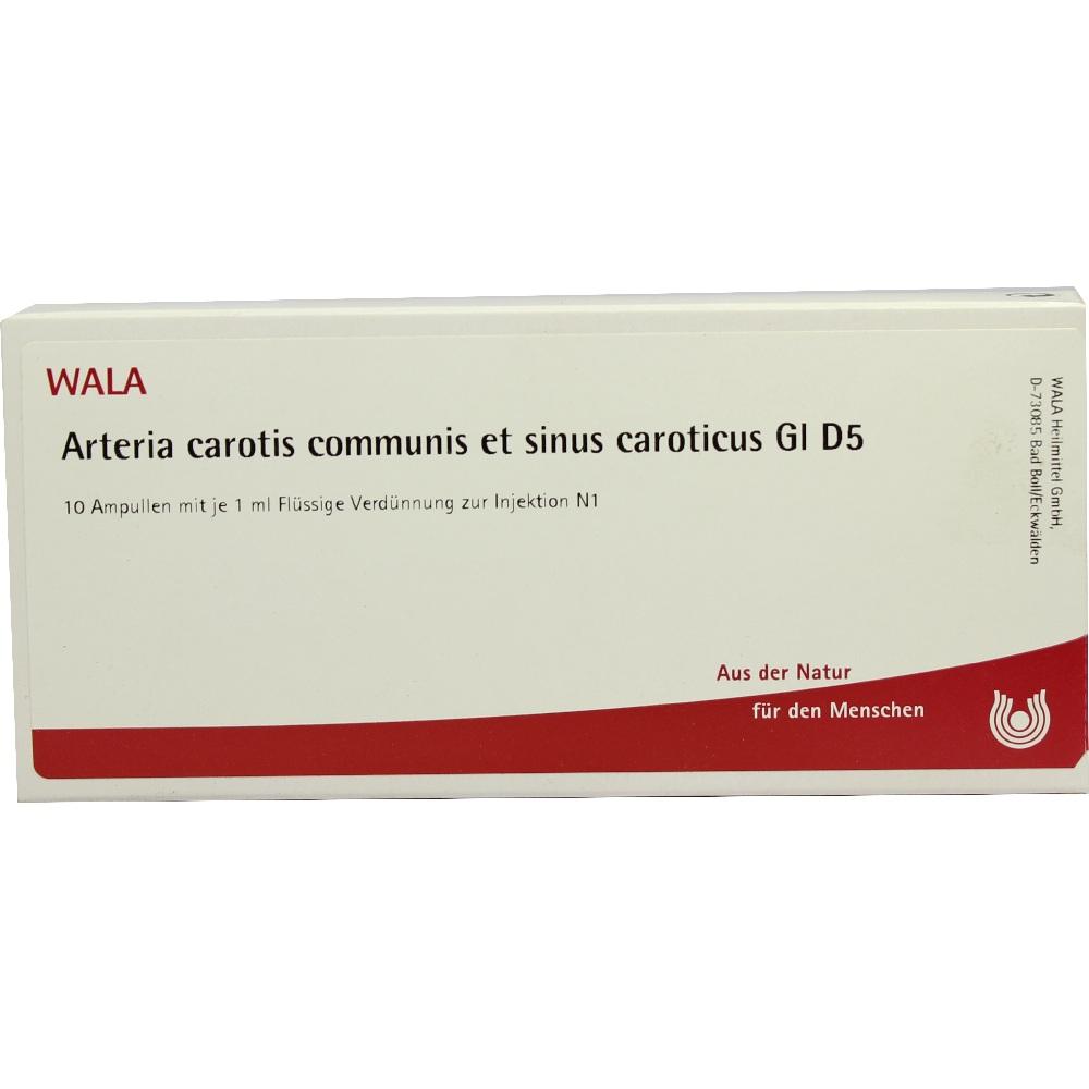Arteria carotis communis et sinus caroticus Gl D5 Amp. 10X1 ml Ampullen