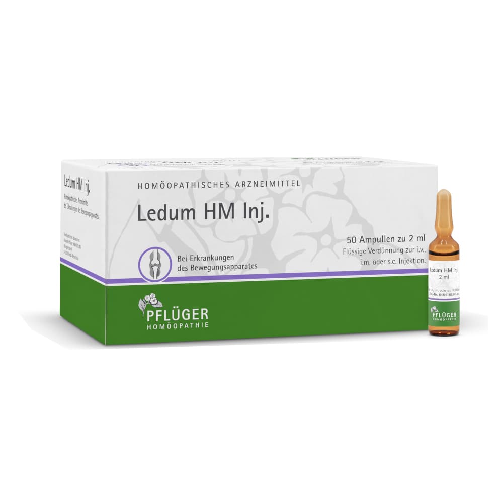Ledum HM Inj. 50 St Ampullen