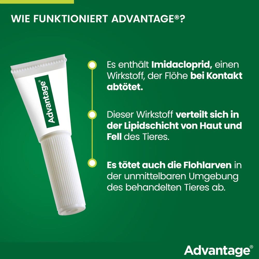 Advantage 100 Lösung zum Auftropfen für Hunde 4-10 kg 4 St Lösung