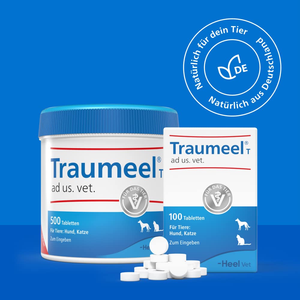 Traumeel T ad us. vet.  500 St Tabletten