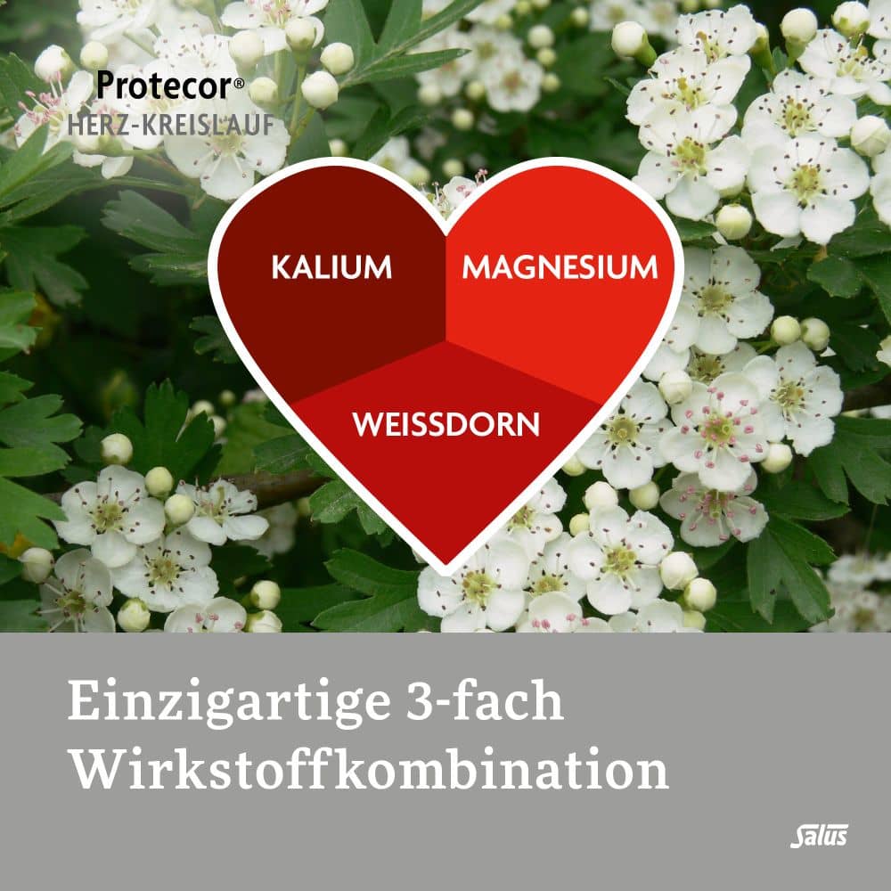 PROTECOR Herz-Kreislauf Tabletten zur Funktionsunterstüzung Salus 100 St Überzogene Tabletten
