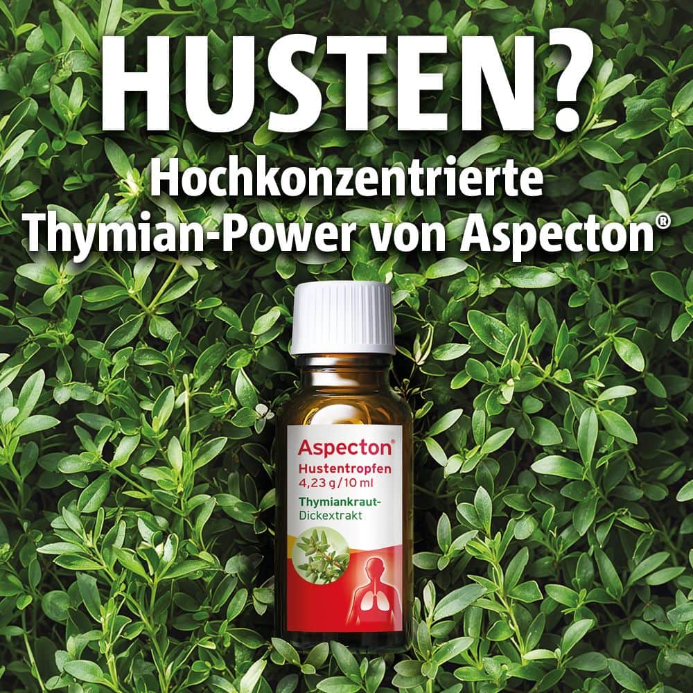 Aspecton Hustentropfen 100 ml Flüssigkeit zum Einnehmen