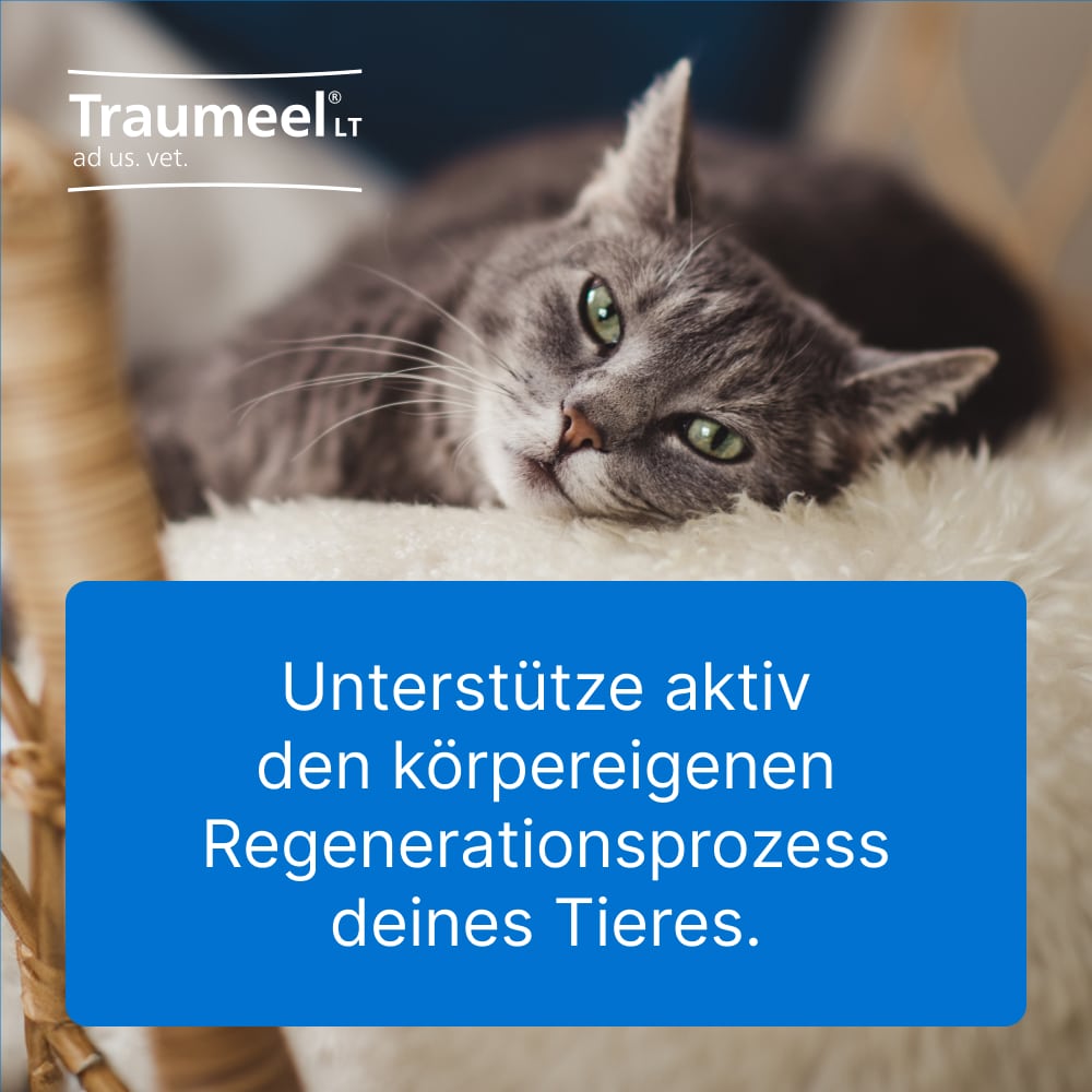 Traumel LT ad us. vet. 500 St Tabletten