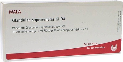 Glandulae suprarenales Gl D4 Ampullen 10X1 ml Ampullen