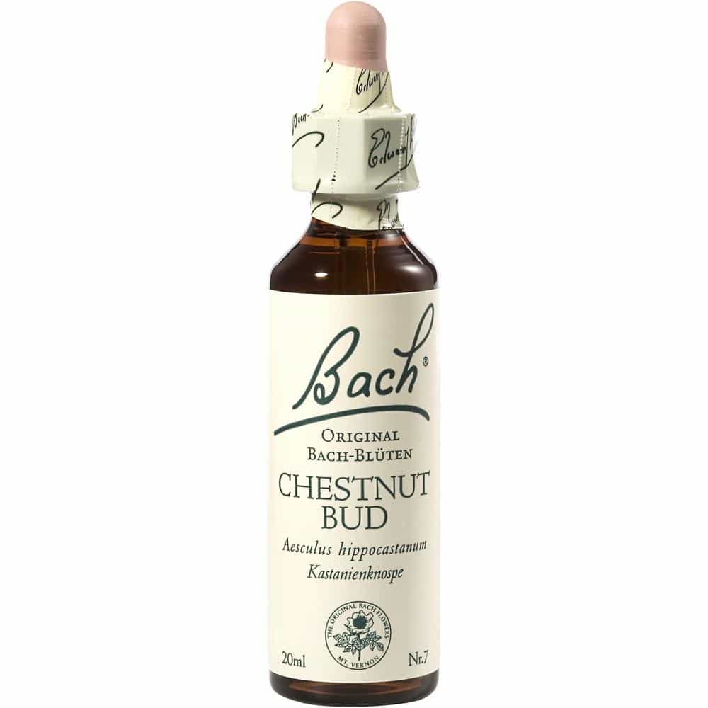 BACHBLÜTEN Original Chestnut Bud Nr.7 20 ml Tropfen