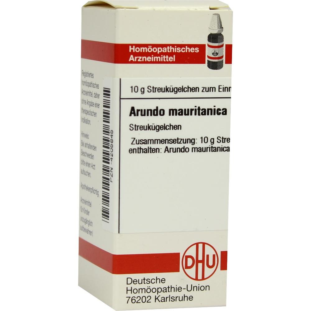 ARUNDO mauritanica C 6 Globuli 10 g Globuli