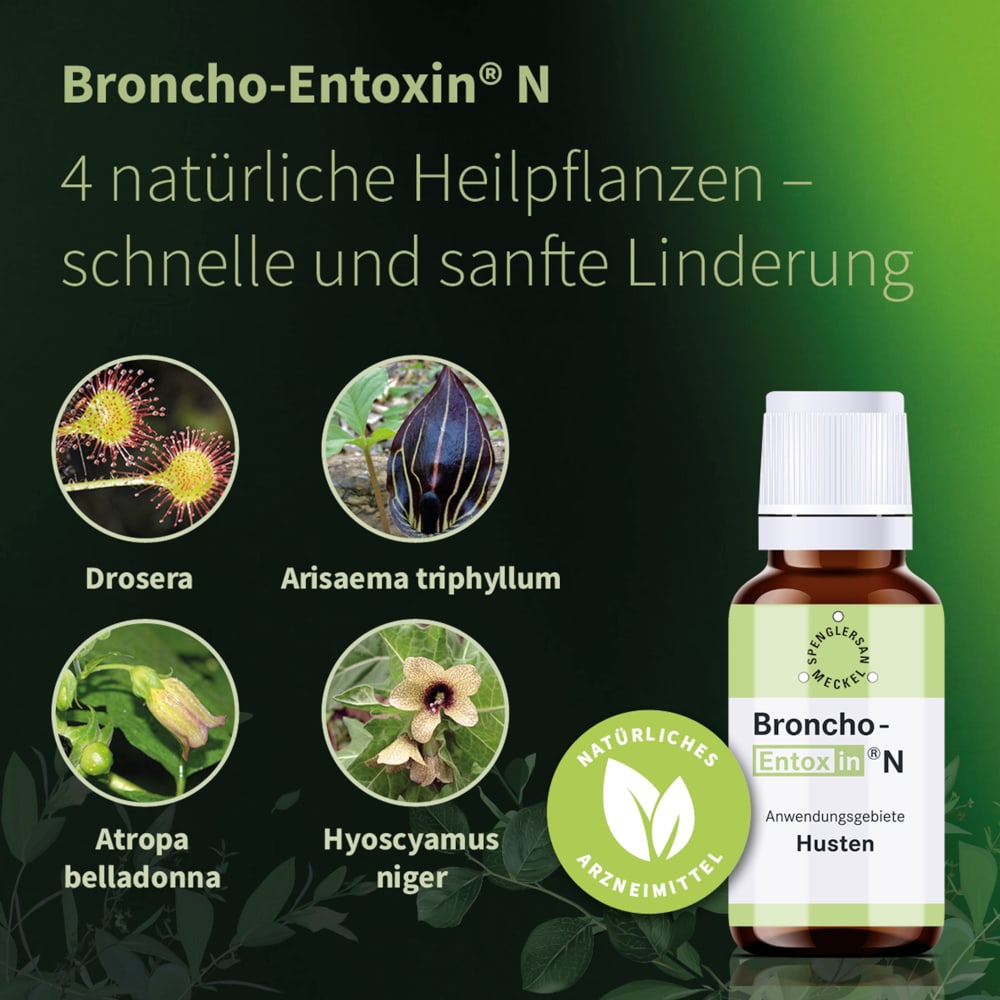 BRONCHO ENTOXIN N Tropfen 100 ml Tropfen