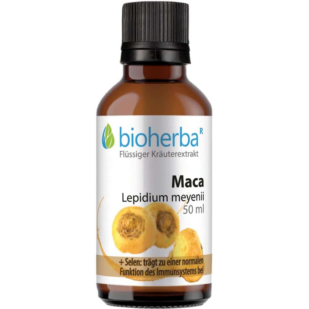 MACA LEPIDIUM MEYENII