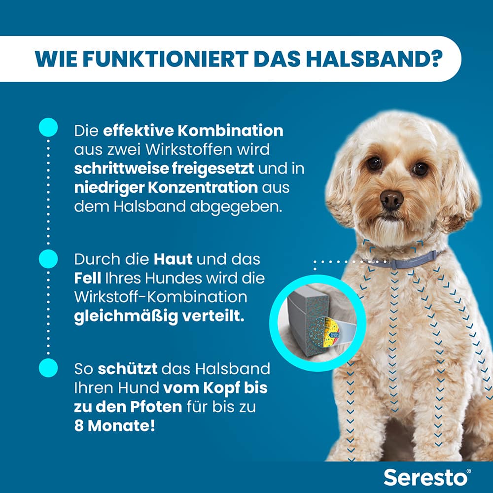 Seresto Halsband für kleine Hunde bis 8 kg 1 St Halsband