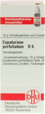 EUPATORIUM PERFOLIATUM D 6 Globuli 10 g Globuli