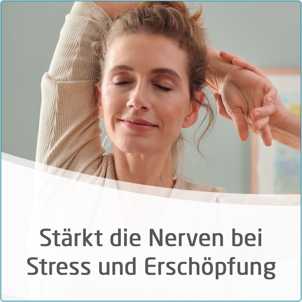 WELEDA Neurodoron 80 St Tabletten